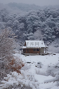 松树上的雪背景图片_屋顶上有雪的小房子