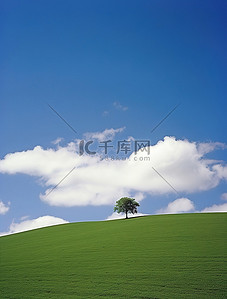 孤独背景图片_一棵孤独的树坐落在绿色的山顶上