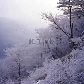 雪背景图片_山坡上覆盖着雪和树木