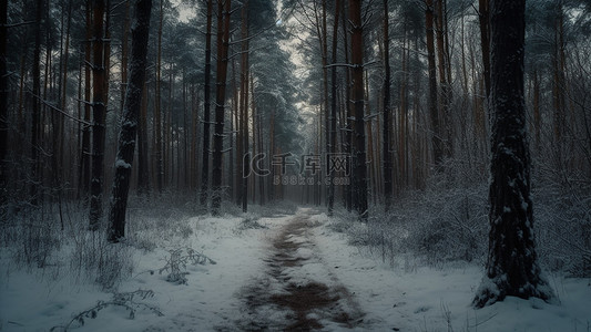 树木背景图片_树林小道雪地背景