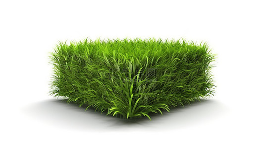 在 3D 渲染的白色背景下隔离的单片绿草