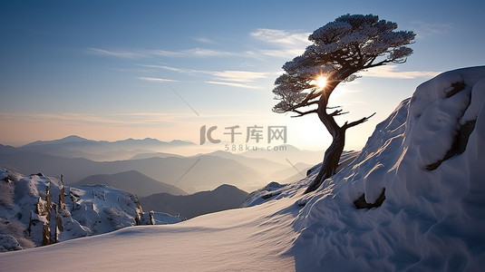 山顶雪中的一棵孤独的树