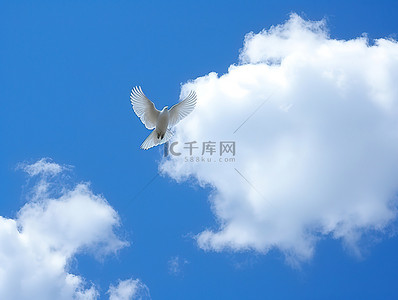 蓝天白云围绕着鸟和飞机的白色斑点