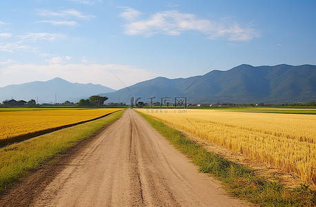 一条土路通向一片开阔的田野，山峦就在视野之外