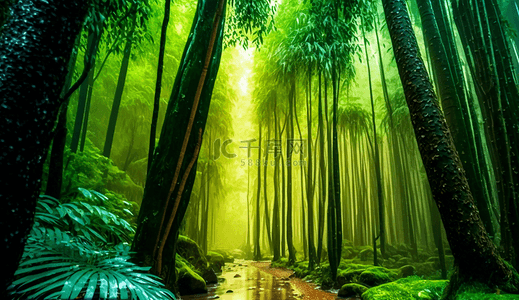 雨中的竹林风景树叶雨林丛林绿色自然背景