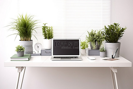 有植物和笔记本电脑的电脑桌