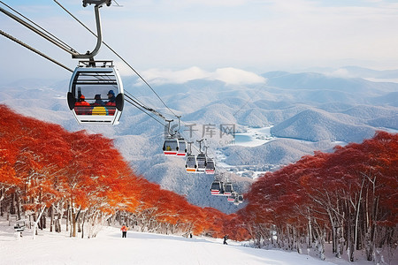 日本秋天的缆车和滑雪缆车 照片和照片 日本旅游新闻