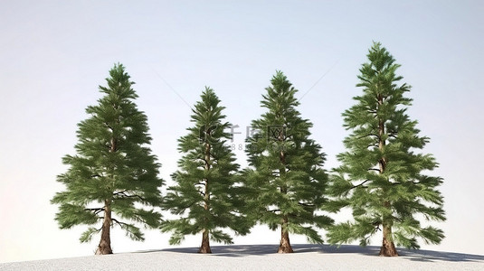 冬天背景图片_3d 世界中的松树