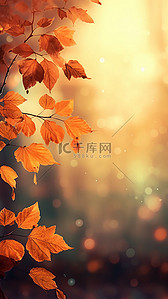 秋天质感纹理树木