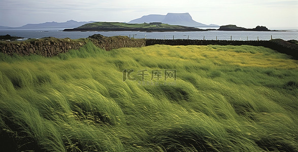 古风山海背景图片_一片高草丛生的田野，背景是一座岛屿