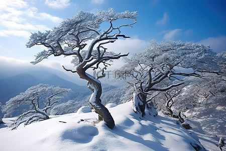 Kongsan Chilgoza 山的冬天