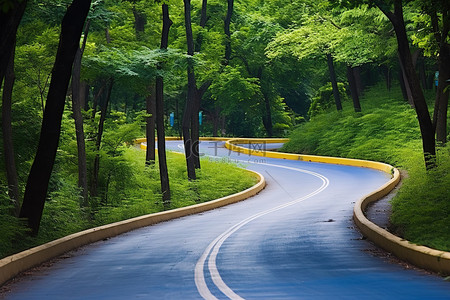 夏天树木背景图片_一条被树木包围的蓝色道路