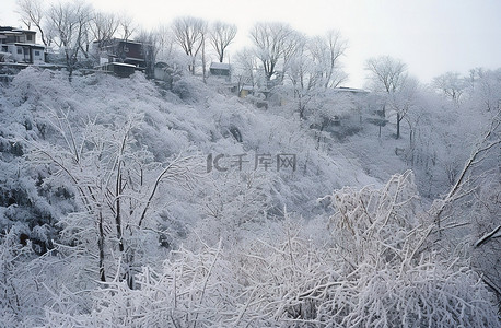 过去被雪覆盖的山坡