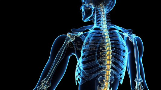 在医学背景中突出显示脊柱的 3d 插图，比较好和坏的姿势
