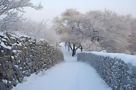 一条通向白雪覆盖的墙壁的小路