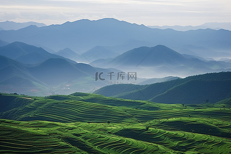 从高山拍摄的照片是被群山包围的大片绿色田野