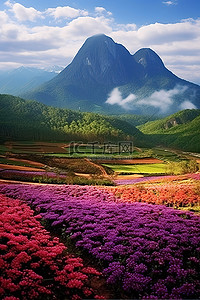 左上角福袋背景图片_两个开花的山峰，左上角有紫色的花朵