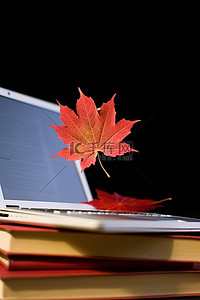 秋季笔记本电脑，屏幕顶部坐着红枫叶前有一朵白花的笔记本电脑