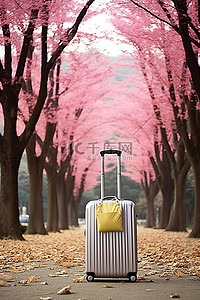 的行李箱背景图片_一个带着粉色围巾的行李箱放在树旁的公园里