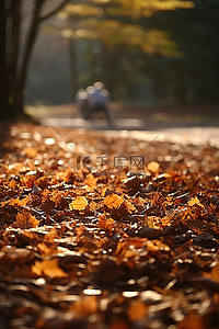 扫地背景图片_阳光明媚时，一名男子正在扫地上的树叶
