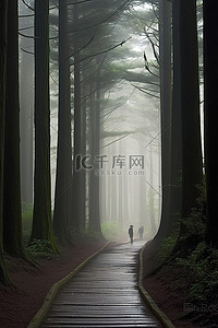 日本旅游背景图片_在日本森林保护区神户岛太宰路径平移西雅图自然 JD