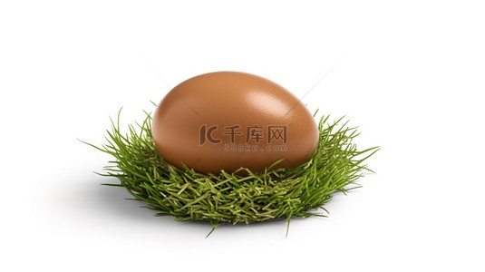 美食节背景图片_3d 渲染白色背景上的棕色鸡蛋，坐落在绿草中