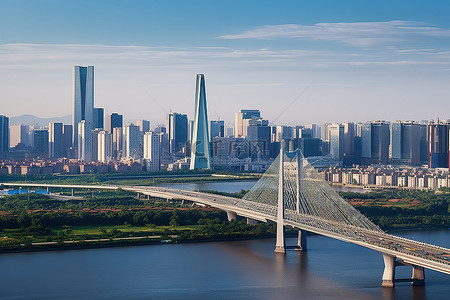 杨浦滨江背景图片_鸟瞰天际线和桥梁
