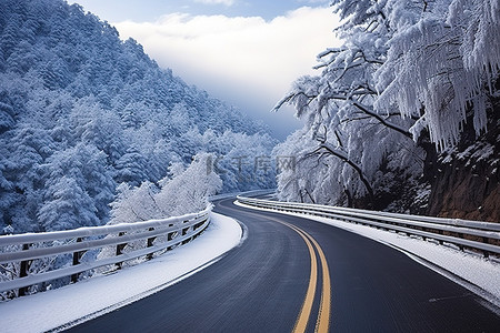 台湾冬季积雪树木的道路