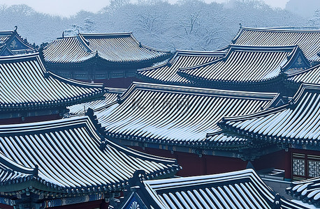雪上上的脚印背景图片_雪上的韩国宫殿