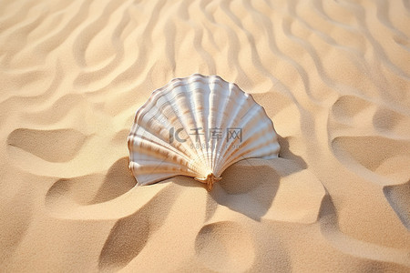 沙子上风扇前面的贝壳