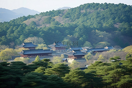 青岛背景图片_一座山中的寺庙，一座被森林包围的寺庙