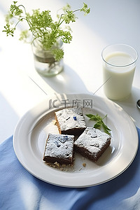燕麦片牛奶背景图片_白盘上的燕麦片巧克力屑和牛奶