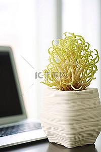 桌子背景图片_电脑附近桌子上小花瓶里的多汁花盆