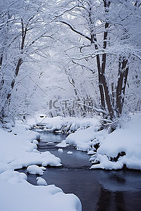 冬季雪林树木即墨松浦仁王河