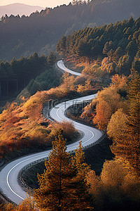 蹄背景图片_树上蜿蜒的道路