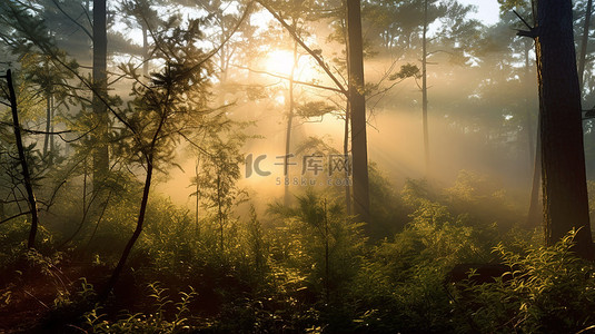 阳光亲吻童话森林，壮丽的早晨场景，被照亮的树叶和树干笼罩在朦胧的雾中 3D 插图