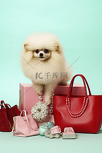 珠宝背景图片_可爱的狗靠近鞋子珠宝和红色购物袋