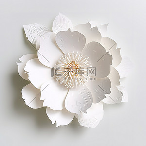 白牡丹花3d打印装饰