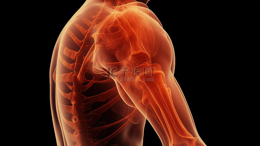 肩膀背景图片_使用 3D 渲染对痛苦中的肩膀进行数字化描绘