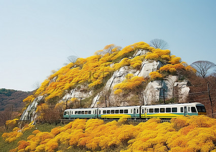 一列彩色火车驶离一座黄叶小山时缓缓驶来