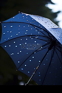 黑色雨伞与水滴