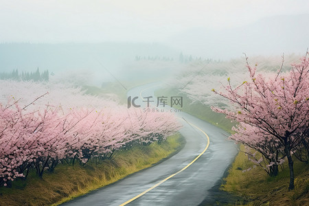 春天早晨背景图片_春天被粉红色花朵包围的道路