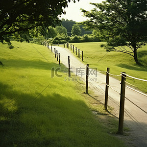 灯杆道旗背景图片_一条带有灯杆的小路通向自然绿地