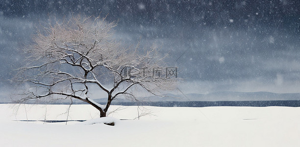 寒冷的雪天背景图片_雪天积雪的山上有两棵树