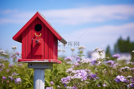 蓝色的天空和紫色的花朵的红色邮局