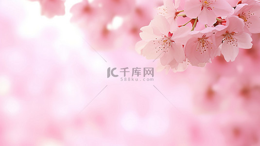 韩国古建筑手绘背景图片_粉色樱花背景