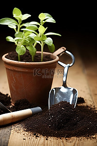 在花盆旁边种植种子和工具