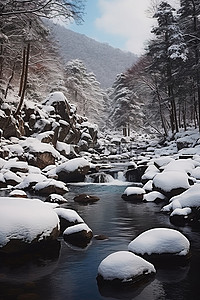 一条小溪，里面有积雪覆盖的岩石