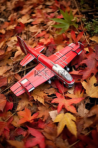 一架旧的红色玩具飞机掉在树叶里