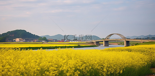 边境界碑背景图片_朝鲜边境的田野上，远处有一座桥